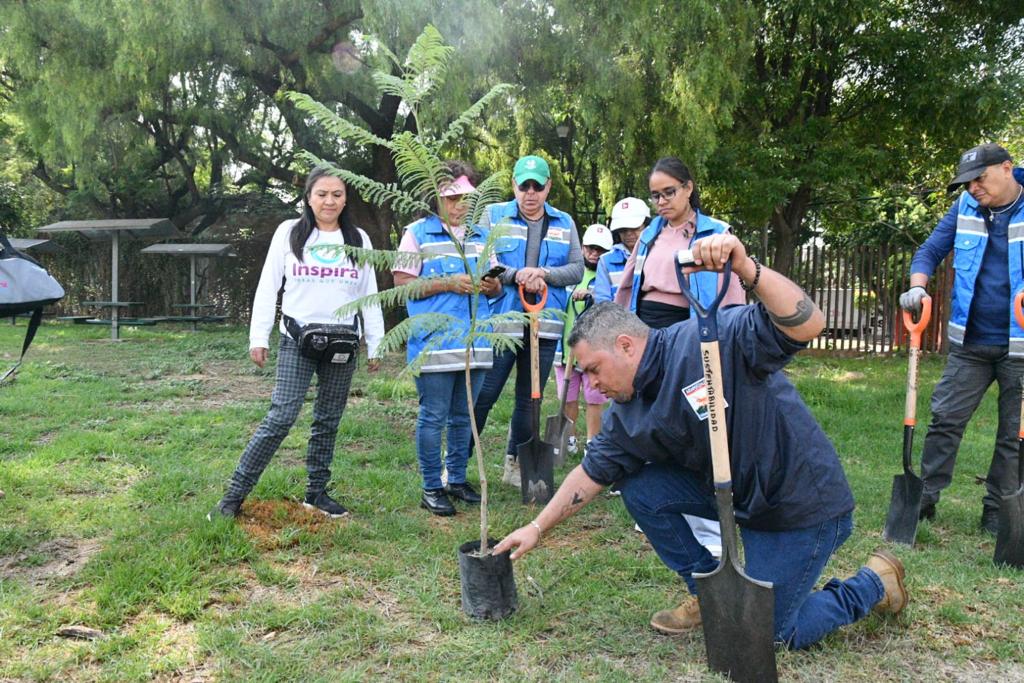 Celebra Azcapotzalco Día Mundial del Árbol con la reforestación del ...